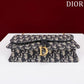 Dior Saddle Pouch High Grade