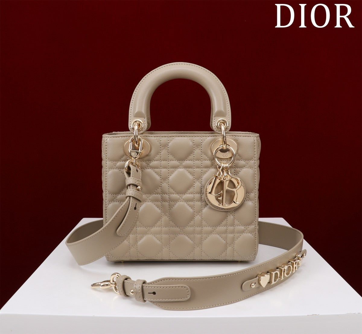 front of cannage lamb skin lady dior bag