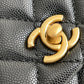 Chanel Coco Handle Bag - Platinum Grade