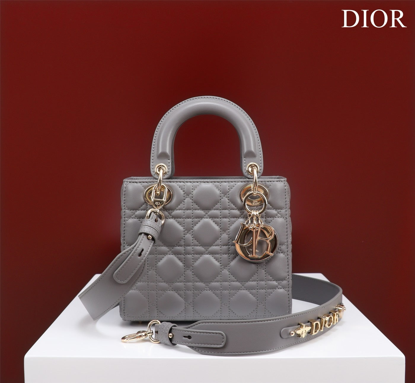 Small Lady Dior My ABCDior Bag Lamb Skin Grey - High Grade